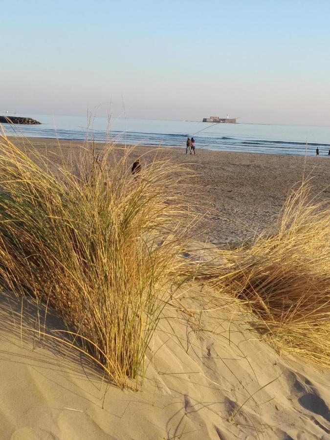 Location Le Samaria Villa 29 - Mail De Rochelongue Agde Exteriör bild